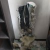 Фото: телеграм-канал FEFU4CH — newsvl.ru