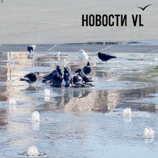 Сухой фонтан на центральной площади Владивостока отключат досрочно в субботу