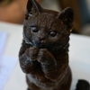 Фигурка кота из почвы — newsvl.ru