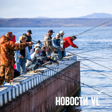 Частые заходы южной хищной рыбы в Приморье не должны сказаться на популяции корюшки