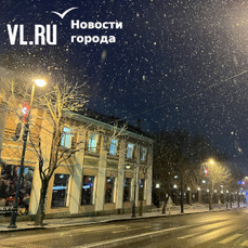 В ночь на понедельник во Владивостоке возможен небольшой дождь со снегом