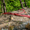 Фото: май 2025 года — newsvl.ru