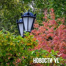 Сегодня во Владивостоке до +9 °C