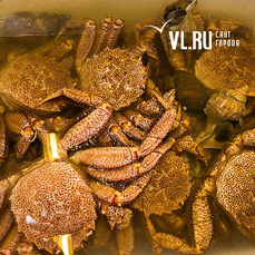 Генпрокуратура РФ утвердила обвинительное заключение по делу о контрабанде краба в отношении Дмитрия Дремлюги и его соучастника