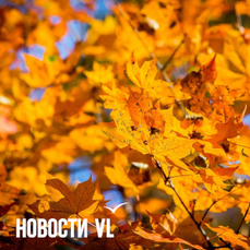 Сегодня во Владивостоке до +9 °C