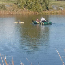 Фонтаны в кампусе ДВФУ на острове Русском отключили на зиму