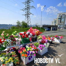 Минимальный штраф для незаконных торговцев во Владивостоке вырастет в шесть раз