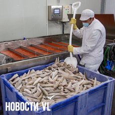 В Приморье хотят построить три рыбоперерабатывающих завода