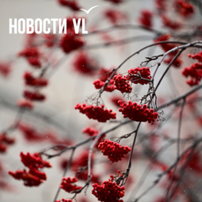 Сегодня во Владивостоке до +11 °С