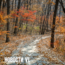 Сегодня во Владивостоке до +5 °С