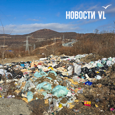 У объездной трассы на Снеговой организовалась несанкционированная свалка