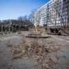 Территория до начала работ — newsvl.ru
