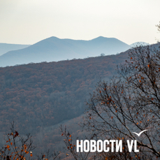 Сегодня во Владивостоке до +3 °C