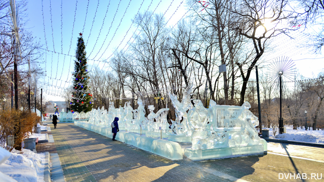 Когда появится новогодняя елка в парке «Динамо» - рассказали в мэрии