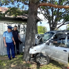 Мать, которая посадила за руль устроившую смертельное ДТП в Дальнереченске дочь-подростка, приговорили к ограничению свободы