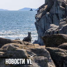 Сегодня во Владивостоке до +4 °C