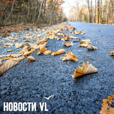 На выходных во Владивостоке будет около +9 °C