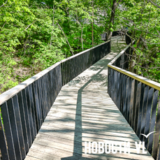 Новые скверы, возрождённые &laquo;1000 дворов&raquo;, ремонты домов – в Думе Владивостока обсудили бюджет муниципальной программы &laquo;Жильё и городская среда&raquo;