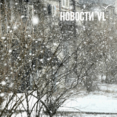 Предстоящей ночью во Владивостоке ожидается снег