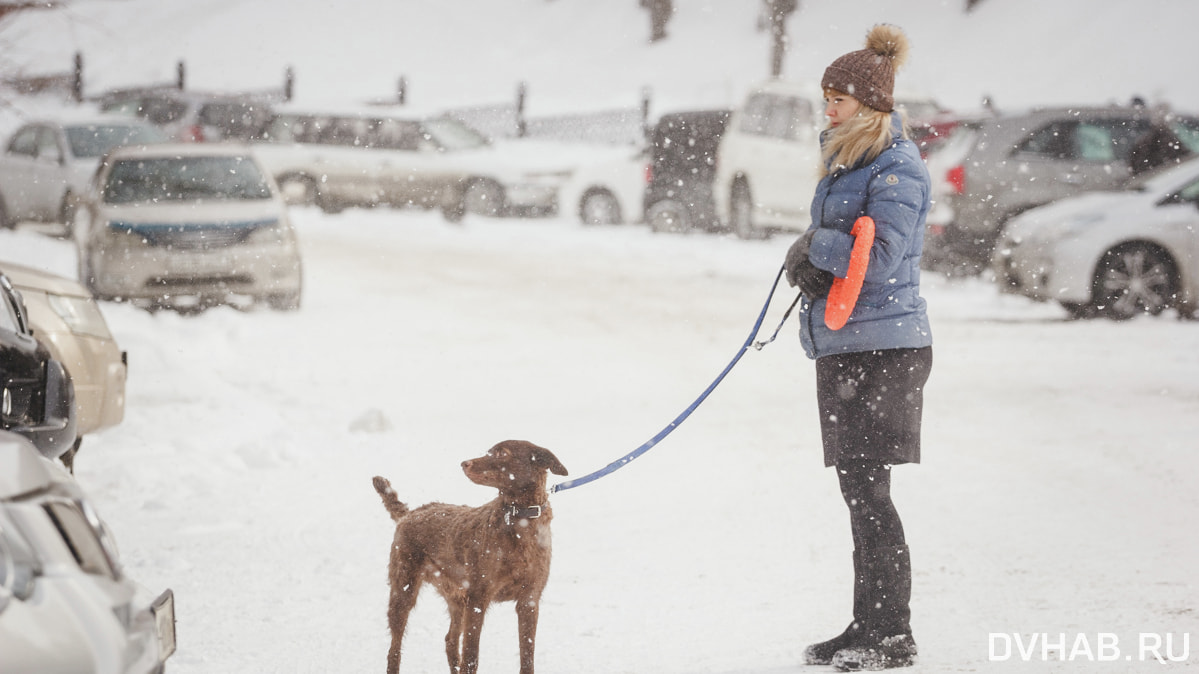 Синоптики прогнозируют снег в воскресенье и похолодание в понедельник