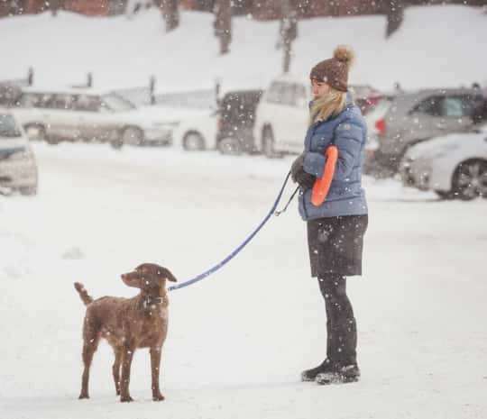 Синоптики прогнозируют снег в воскресенье и похолодание в понедельник