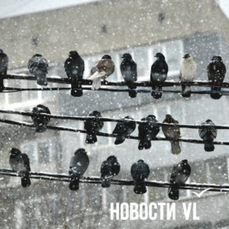 Сегодня во Владивостоке до -6 °C