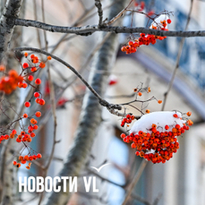 Сегодня во Владивостоке до -7 °C