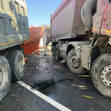 В Приморье выпавшего из кабины водителя самосвала насмерть задавил другой самосвал