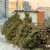  — newsvl.ru