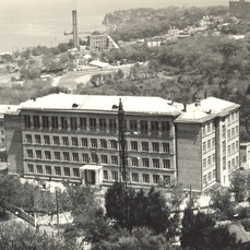 &laquo;Дети с крыльями&raquo;: как во Владивостоке появилась и почему может исчезнуть школа для одарённых