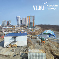 Правительство Приморья переводит лес на Змеинке в зону рекреации