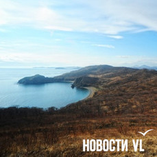 Родственники экс-главы Фокино не смогли оспорить решение об аренде 606 гектаров на острове Путятина