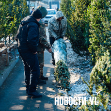 &laquo;После меня все деревья целые&raquo;: как в Приморье заготавливают ёлки к Новому году