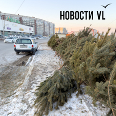 Новые штрафы за незаконную торговлю в Приморье должны вступить в силу уже на этой неделе