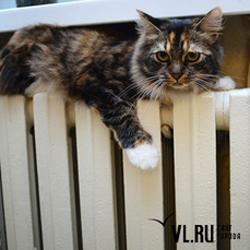 Более 50 домов на Нейбута и Чуркине остались без отопления