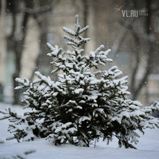 В субботу во Владивостоке будет до +5 °C, возможен снег