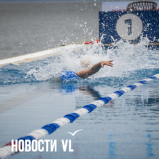 Зимнее плавание, раздача котят, книгообмен: анонсы событий во Владивостоке на субботу и воскресенье