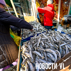 По крайней мере на треть дороже: по прогнозам продавцов, свежие корюшка и навага на рынках Владивостока появятся только в январе