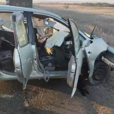 Четырёхлетний ребёнок погиб в аварии с тремя большегрузами и минивэном в Михайловском районе