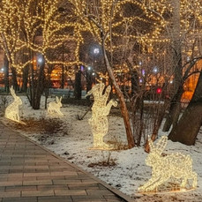 Ещё семь общественных территорий украсят до Нового года световыми фигурами, которые предложили студенты