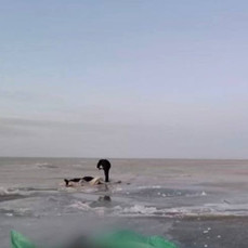 Машина с тремя рыбаками провалилась под лёд озера Ханка, два человека погибли