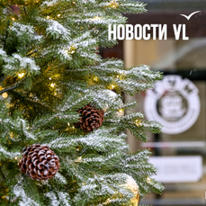 Сегодня во Владивостоке ветрено и до -8 °С