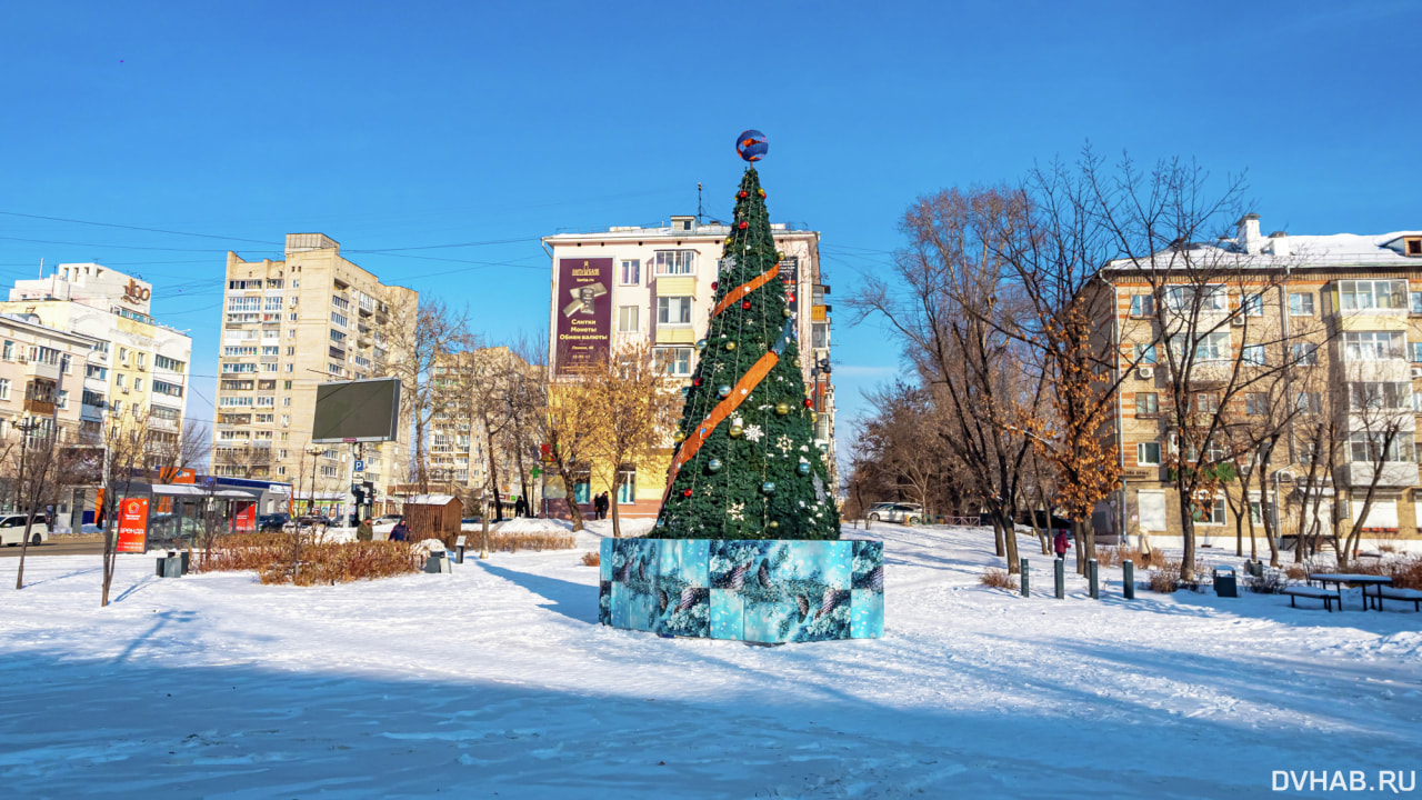 Лучший новогодний городок Хабаровска выбирает DVHAB (ПЕРЕКЛИЧКА)