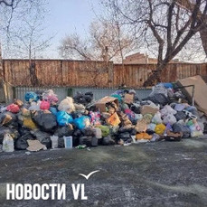 Во дворах Владивостока мусорные залежи – ПЭО винит гололёд и собственников контейнерных площадок