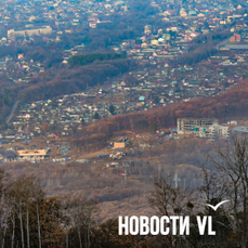 Бывшую начальницу отдела земельных отношений в Арсеньеве обвиняют в мошенничестве с участками для инвалидов и ветеранов