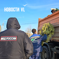 На Ладыгина нелегальные торговцы устроили ёлочный базар на клумбе за 500 000 рублей