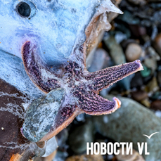 В первый день 2026 года во Владивостоке будет до -16 °С