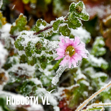 Сегодня во Владивостоке чуть теплее, до -12 °С, но ветер сильный