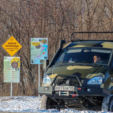 Охрану тигров и леопардов усилили в новогодние праздники в Приморье