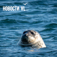 Во Владивостоке сегодня до -8 °С